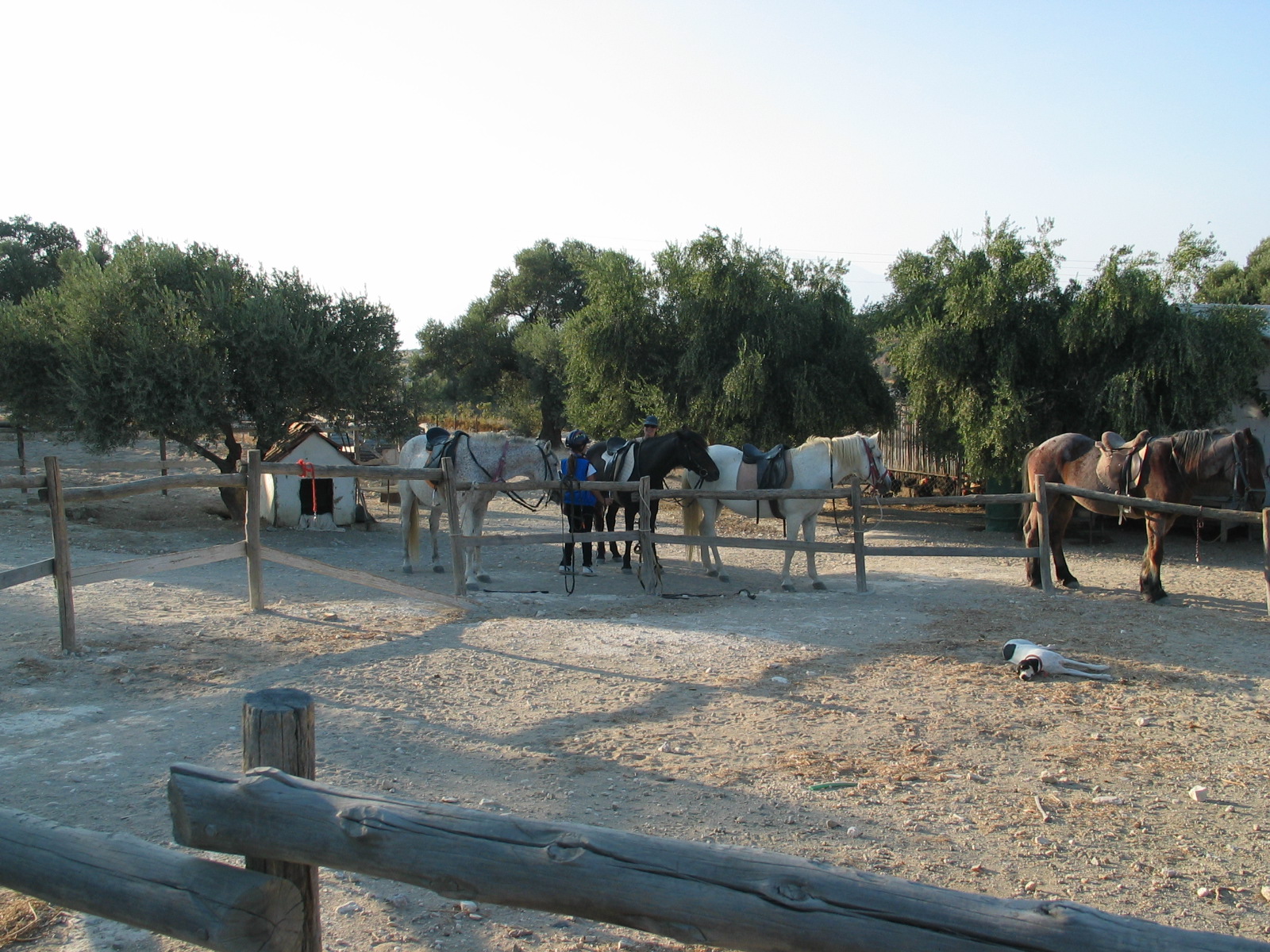 Pitsidia - Gemeinde Matala auf Kreta